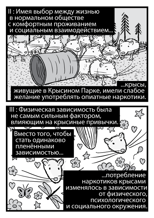 Изображения карикатурных крыс. Пародия обложки Лед Зеппелин II. Чёрно-белая карикатурная обложка Лед Зеппелин III. II : Имея выбор между жизнью в нормальном обществе с комфортным проживанием и социальным взаимодействием крысы, живущие в Крысином Парке, имели слабое желание употреблять опиатные наркотики. III : Физическая зависимость была не самым сильным фактором, влияющим на крысиные привычки. Вместо того, чтобы стать одинаково пленёнными зависимостью потребление наркотиков крысами изменялось в зависимости от физического, психологического и социального окружения.