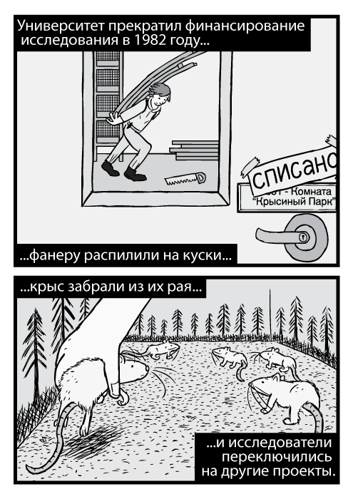 Рисунок мужчины в дверном окошке. Пародия на обложку альбома Лед Зеппелин IV. Отсылка к альбому “Дома Святых” Лед Зеппелин. Комната “Крысиный Парк”. Списано. Университет прекратил финансирование исследования в 1982 году, фанеру распилили на куски, крыс забрали из их рая, и исследователи переключились на другие проекты.