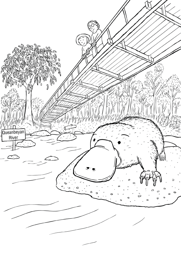 Cartoon low-angle scene of platypus on river rock. People and woman looking down from bridge overhead.