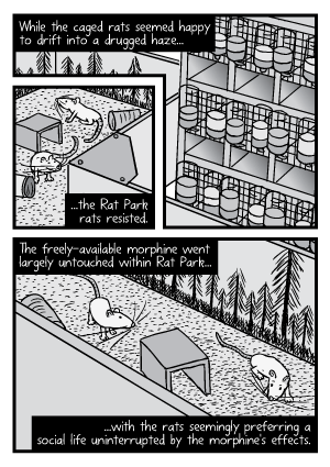 Rat Park comic page: Cartoon of the caged and enclosure rats. The Rat Park rats resisted the temptation to take drugs.