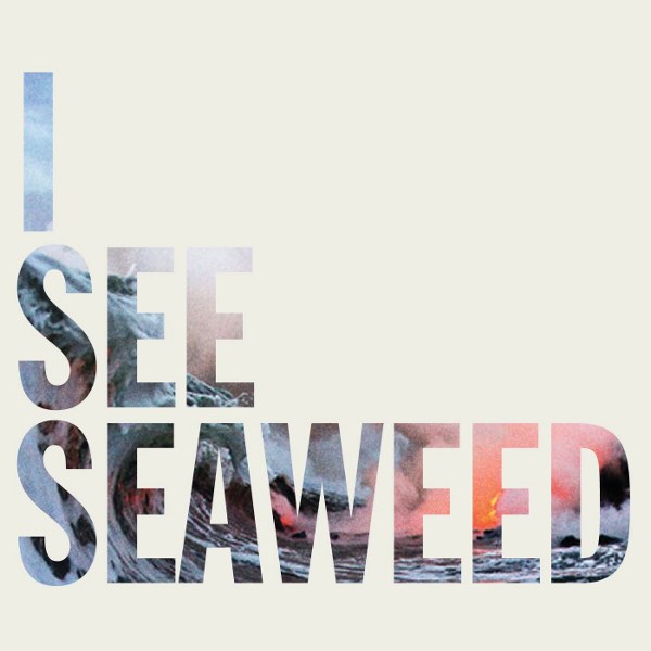 The Drones - I See Seaweed