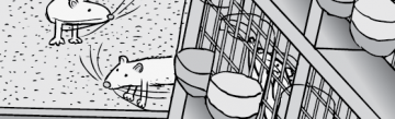 Rat Park drug experiment comic. Cartoon black and white lab mice science experiment into addiction.