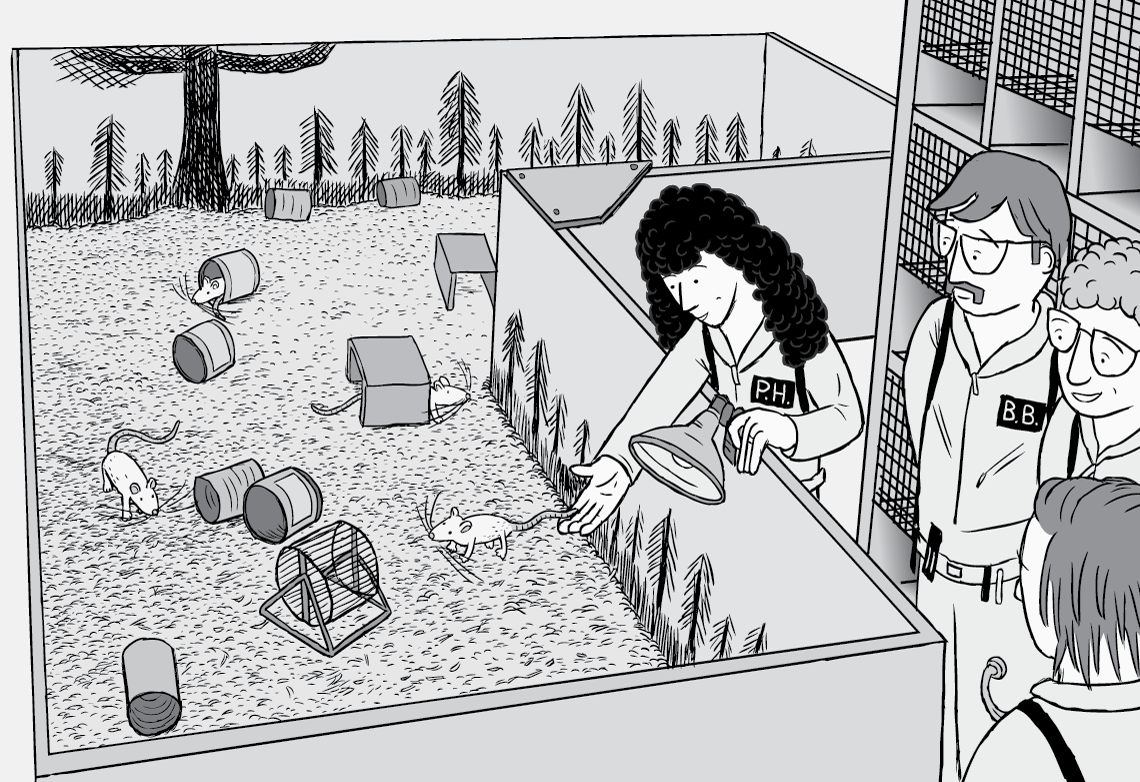 Rat Park drugs experiment - view of the research scientists releasing the rats into the enclosure, in science laboratory black and white cartoon.