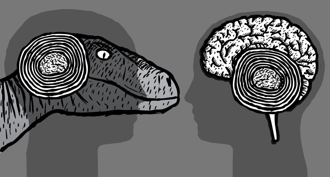 Comparison of human brain versus dinosaur brain, showing the primitive 'reptilian brain' near the amygdala.