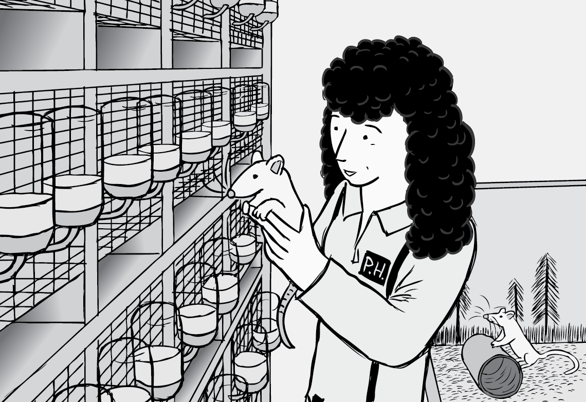 Female scientist holding a lab rat cartoon. Near mouse cages in a science laboratory illustration.