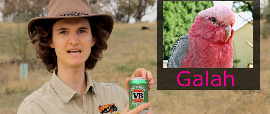 Stuart McMillen Aussie crowdfunding pitch with Akubra hat and VB beer and galah