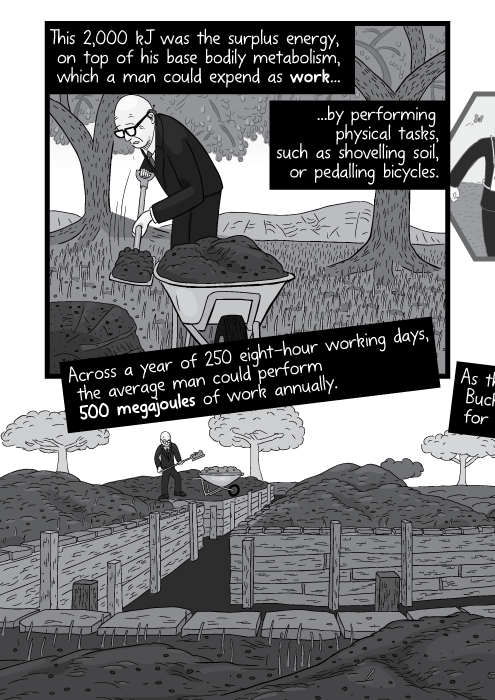 This 2,000 kJ was the surplus energy, on top of his base bodily metabolism, which a man could expend as work... ...by performing physical tasks, such as shovelling soil, or pedalling bicycles. Across a year of 250 eight-hour working days, the average man could perform 500 megajoules of work annually.