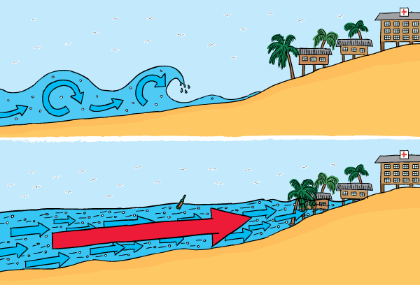 Cartoon cross-section of tsunami. Difference between tsunami and normal waves.