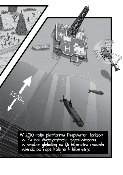 W 2010 roku platforma Deepwater Horizon w Zatoce Meksykańskiej, zakotwiczona w wodzie głębokiej na 1,5 kilometra musiała wiercić po ropę kolejne 4 kilometry.