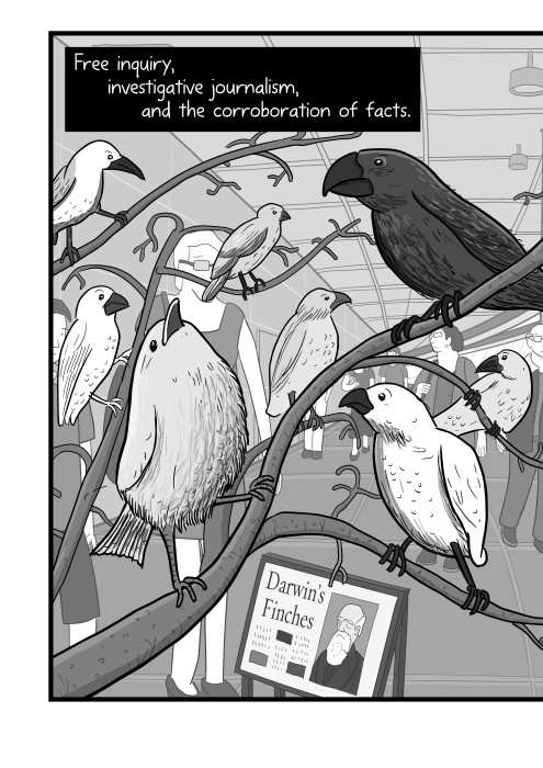 Free inquiry, investigative journalism, and the corroboration of facts. Illustration of Darwin's finches in a museum, perched on branches cartoon.