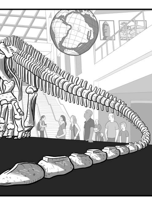 Low angle view of dinosaur skeleton tail in museum, curving away from viewer. Cartoon of dinosaur museum exhibit of fossil bones.