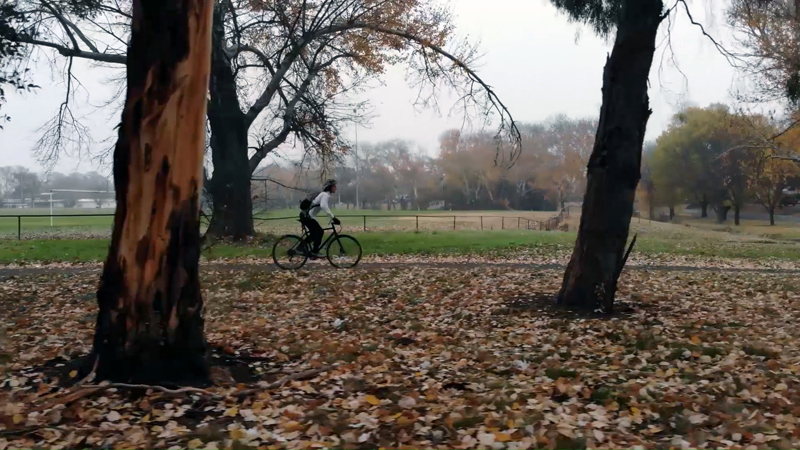 Side view of cyclist riding along autumn bikeway on cloudy morning in Canberra.