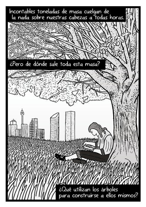 Dibujo de un hombre leyendo bajo un árbol. Dibujo de un campo de hierba. Incontables toneladas de masa cuelgan de la nada sobre nuestras cabezas a todas horas. ¿Pero de dónde sale toda esta masa? ¿Qué utilizan los árboles para construirse a ellos mismos?