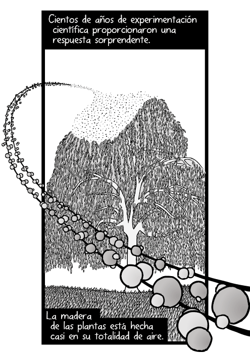 Dibujo de los átomos de oxígeno, carbono e hidrogeno. Moléculas de dióxido de carbono. Cientos de años de experimentación científica proporcionaron una respuesta sorprendente. La madera de las plantas está hecha casi en su totalidad de aire.