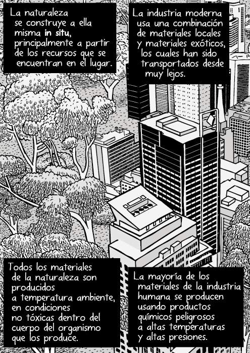 Dibujo de naturaleza urbana. Dibujo de rascacielos junto a bosque. La naturaleza se construye a ella misma in situ, principalmente a partir de los recursos que se encuentran en el lugar. La industria moderna usa una combinación de materiales locales y materiales exóticos, los cuales han sido transportados desde muy lejos. Todos los materiales de la naturaleza son producidos a temperatura ambiente, en condiciones no tóxicas dentro del cuerpo del organismo que los produce. La mayoría de los materiales de la industria humana se producen usando productos químicos peligrosos a altas temperaturas y altas presiones.