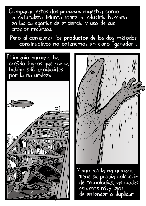 Dibujo de un dirigible sobre el puente del puerto de Sídney. Dibujo de un lagarto escalando un árbol. Comparar estos dos procesos muestra como la naturaleza triunfa sobre la industria humana en las categorías de eficiencia y uso de sus propios recursos. Pero al comparar los productos de los dos métodos constructivos no obtenemos un claro “ganador”. El ingenio humano ha creado logros que nunca habían sido producidos por la naturaleza. Y aun así la naturaleza tiene su propia colección de tecnologías, las cuales estamos muy lejos de entender o duplicar.