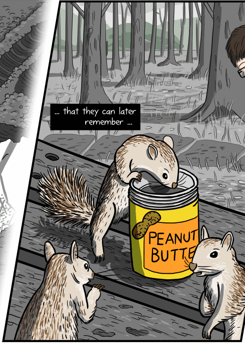 Drawing of squirrels on a picnic table, sniffing a jar of peanut butter. ... that they can later remember ...