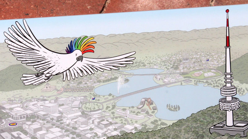 Stuart McMillen - rainbow-crested cockatoo illustration detail