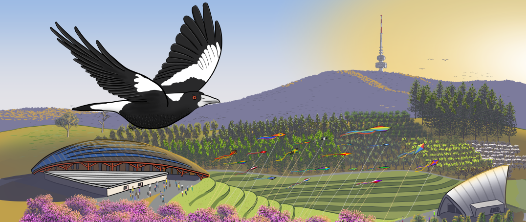 Cartoon Australian magpie drawn at the National Arboretum in Canberra, with a sunrise over Black Mountain