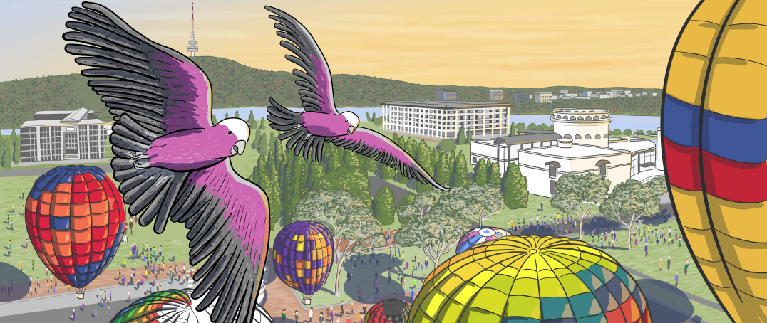 Galahs flying over the hot air balloons of the Canberra Balloon Spectacular - a cartoon drawing by Stuart McMillen