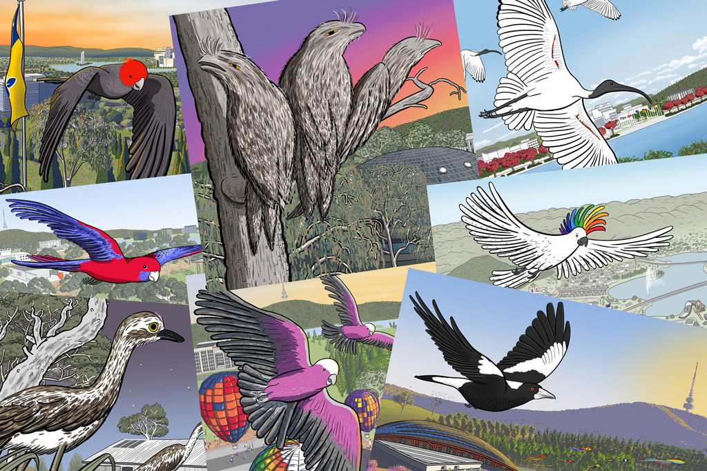 Collage of the first eight Canberra Birds scenes