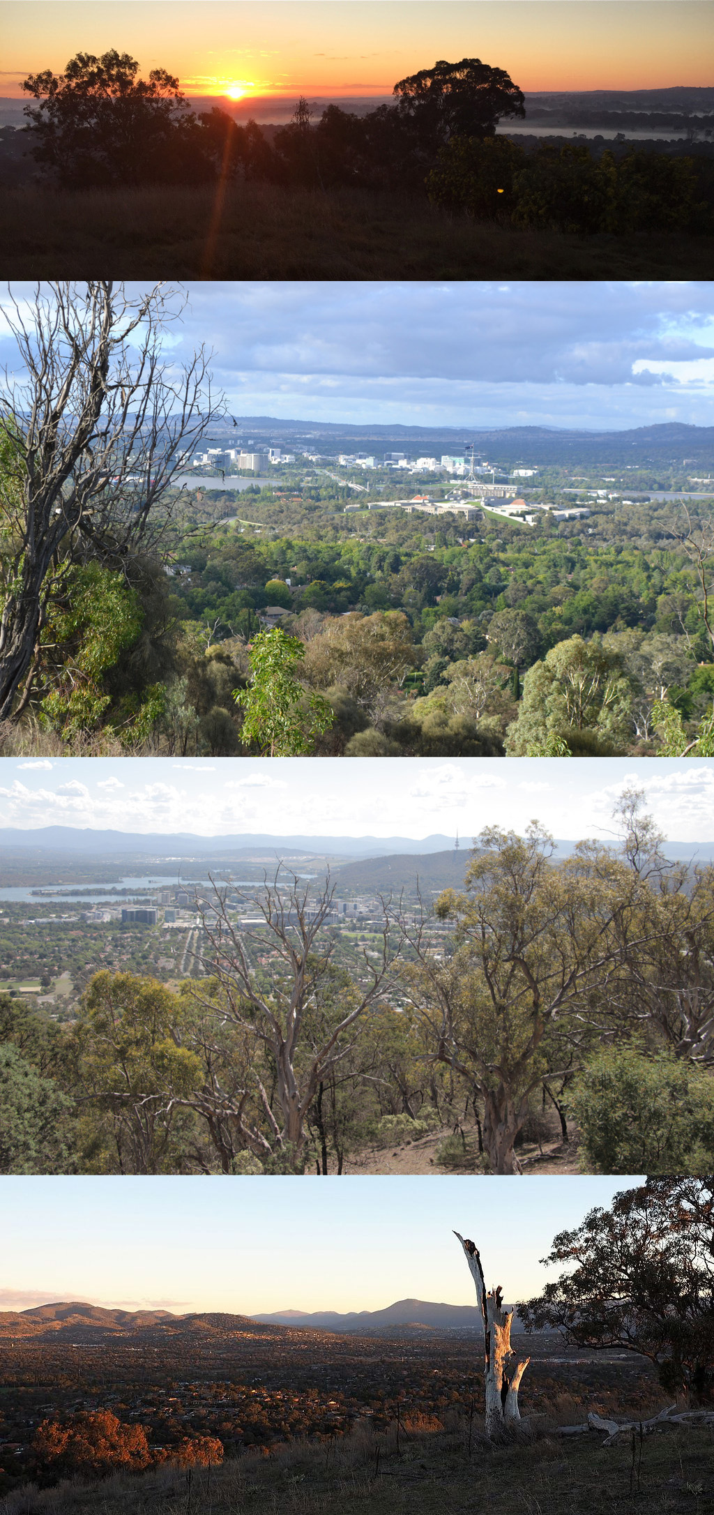 Four views of Canberra