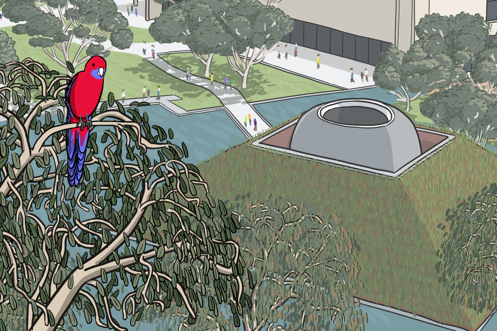 Cartoon crimson rosella in a tree near the James Turrell Skyspace at NGA