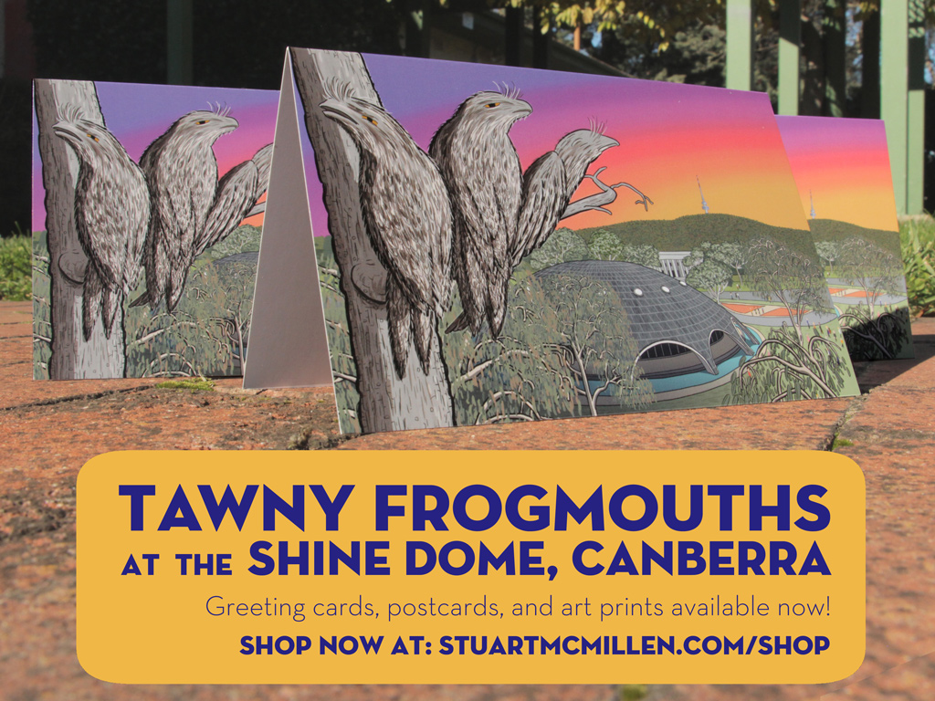 Greeting card: Tawny Frogmouths at the Shine Dome, Canberra