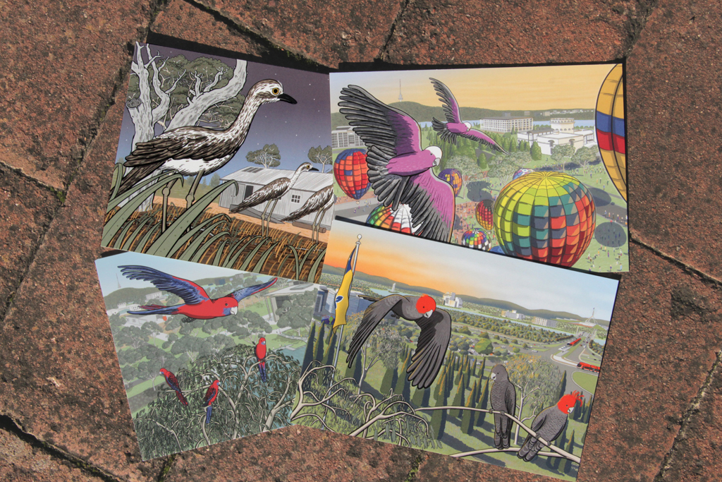 Four Canberra birds postcards