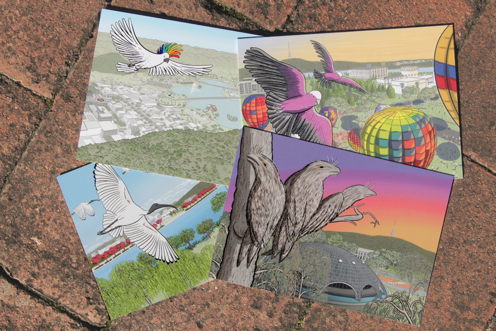 Four postcards of Canberra birds