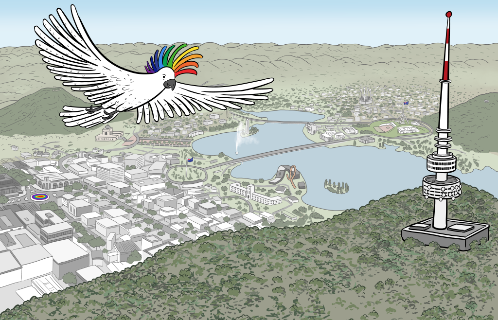 Rainbow-crested cockatoo flying above bird's eye view drawing of Canberra, Australia featuring Black Mountain Tower and Lake Burley Griffin aerial drawing