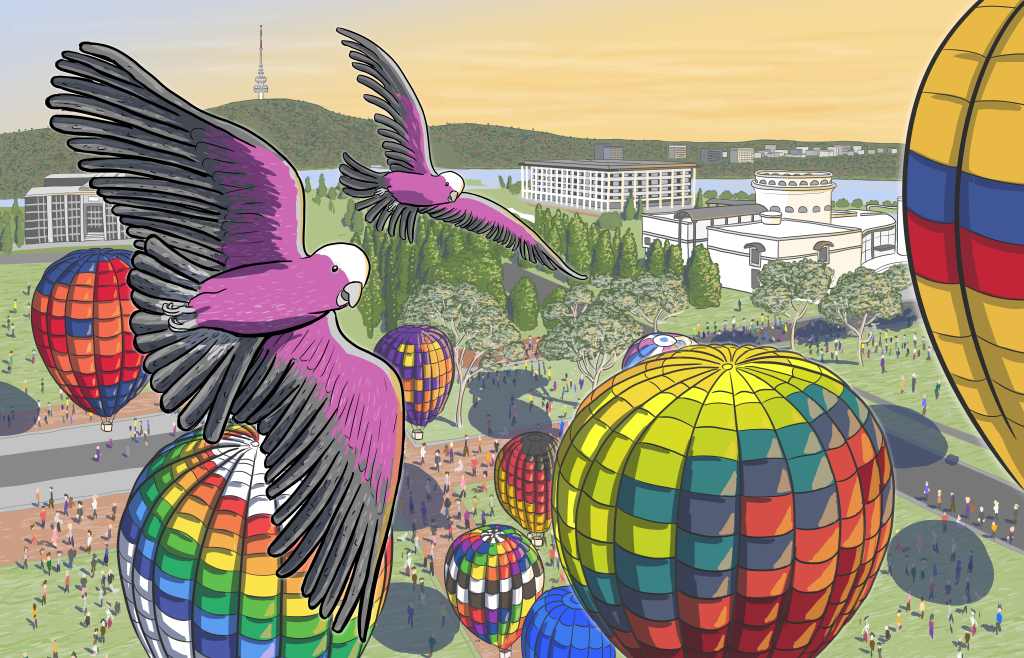 Galahs at Canberra hot air balloon festival cartoon image