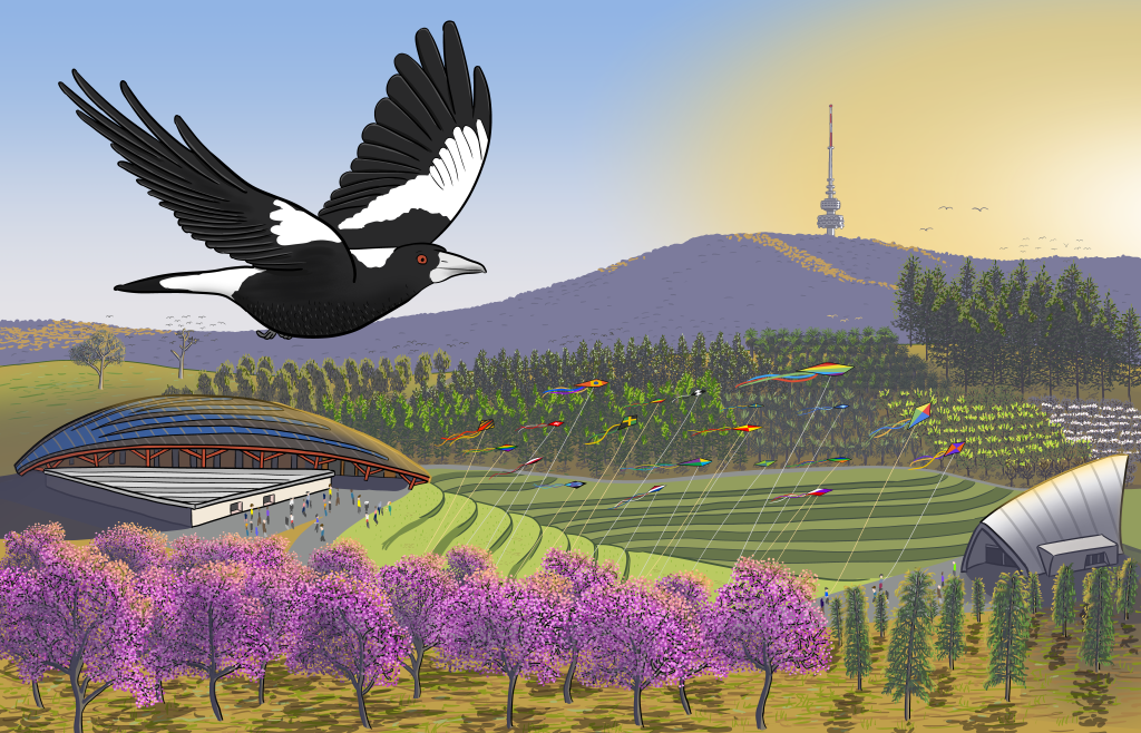 Cartoon magpie flying over Canberra arboretum in the sunshine
