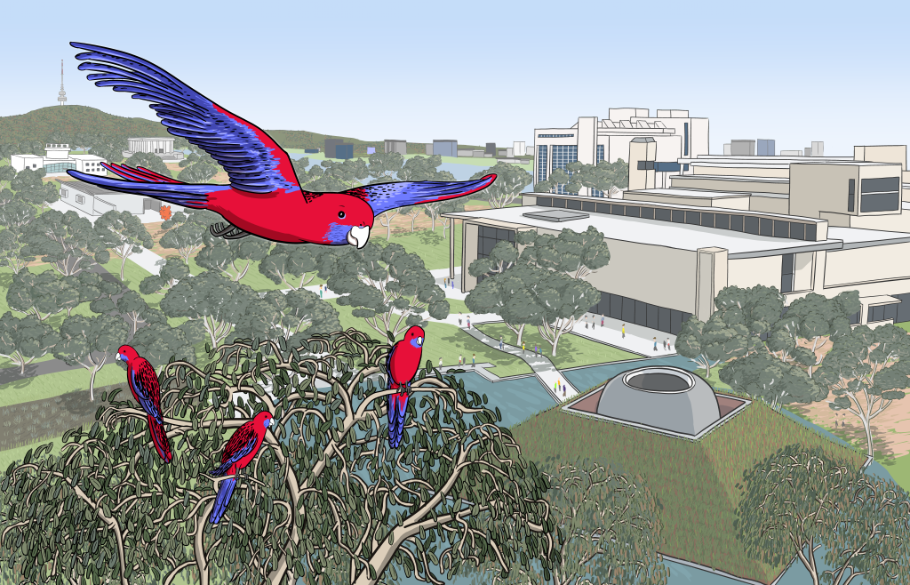 Cartoon crimson rosellas flying above trees in Canberra's National Gallery Skyspace