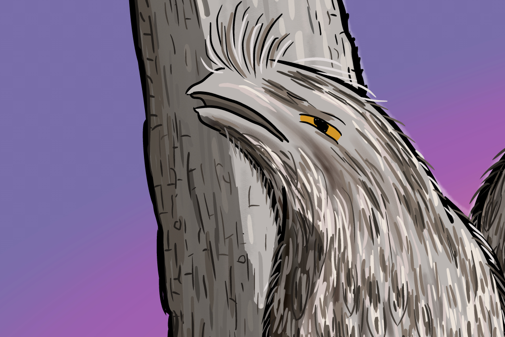 Face of tawny frogmouth against purple sky