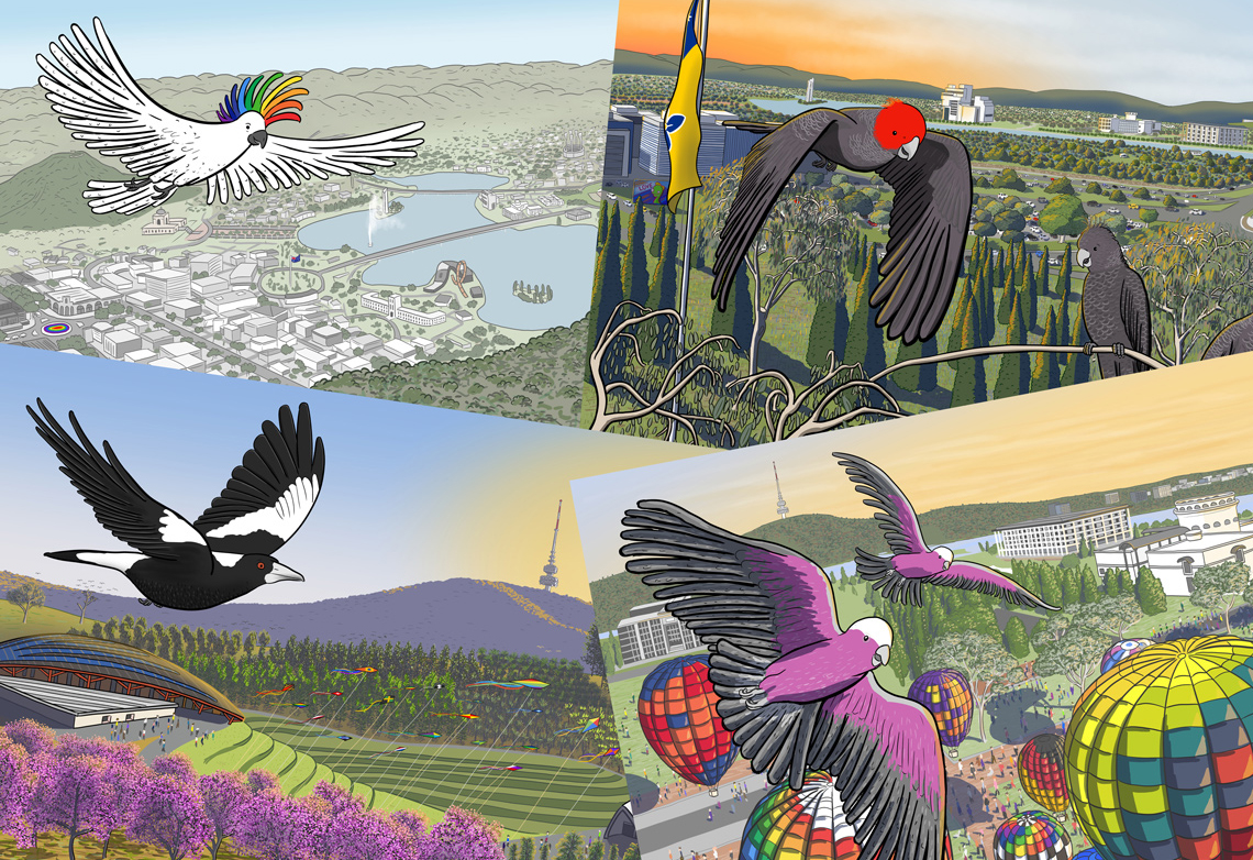 Canberra birds scene: four artworks featuring the birds of Canberra