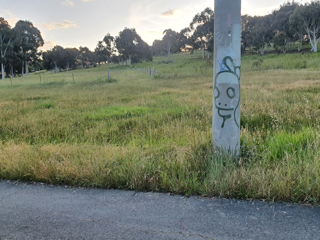 Power pole sprayed with alien graffiti tag, near Canberra nature reserve